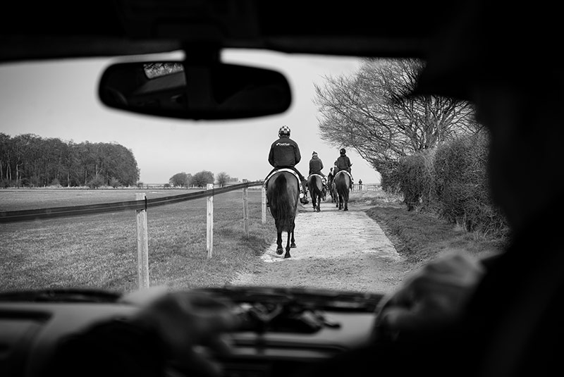 jockey club creative